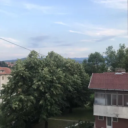 Sofia